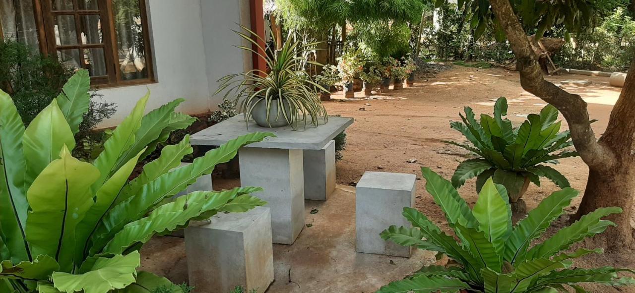 Treasure House Tourist Rest Hotel Anuradhapura Luaran gambar